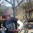 송화관광농원 이미지