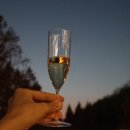 비오니에(Viognier)