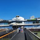 용인대 태권도 이미지