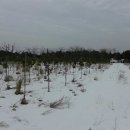 신풍농장 이미지