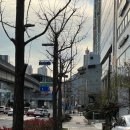 시청큰약국 이미지