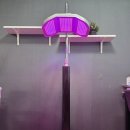 광선메디칼 이미지