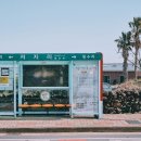 제주 올레길 13코스 이미지