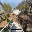 씨사이드힐캠핑장 이미지