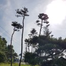 향촌소공원 | 장흥에서 만나는 위대한 인물 실학자 위백규선생
