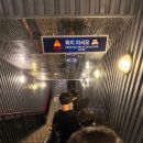 혜성분식 | 잠실 롯데월드 어드벤처 메이플랜드 매직아일랜드 주말 방문후기 (혜성특급 대기, 월드오브라이트)