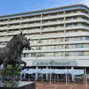 남해-308 | 이번 여름휴가는 여수 디오션 워터파크, 이용방법 총정리