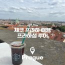 핵심 콕콕 세계사 | 체코 프라하 일정 반일 투어 프라하성 스타벅스 성 비투스 대성당 코스