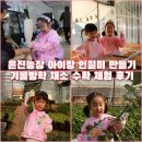 은진농장 | 서울 강남 은진농장 아이랑 인절미 만들기 채소 수확 체험 후기