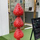 탕후룰루탕후루