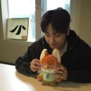 스타피드 이미지