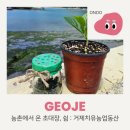 거제치유농업동산 이미지