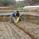 경현농장 이미지