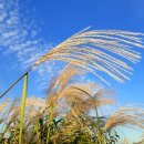 스타칼리 휘트니스 이미지