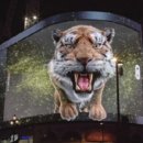 주식회사 알마로꼬 이미지