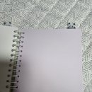 디자인푸루다