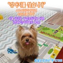 서울구남초등학교 이미지