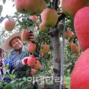 영근농장 이미지