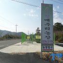 의령메추리농장
