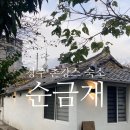 순금재 | 경주 촌캉스 숙소 6인 숙소 추천 순금재 내돈내산 솔직후기