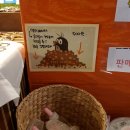 코코넛브라더스 이미지