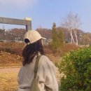 우노데베인떼