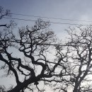 흑산 진리당 이미지