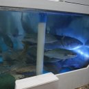 충북회집 이미지