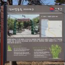 쌈지거제 이미지