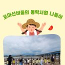 시립인성어린이집 이미지