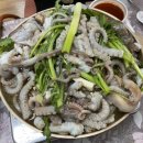 매일낙지 네이버블로그