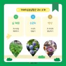 거제치유농업동산 이미지