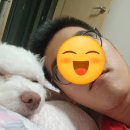 15000족발 세종나성점