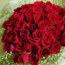 망운초등학교 이미지