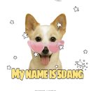 (주)프레쉬스토리 | [오댕] 강아지 사료추천 | 이즈칸 강아지사료, 가성비 강아지사료, 로얄캐닌사료,나우프레쉬사료