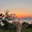 작은섬 1 이미지