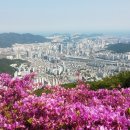 백양산임도(1) 이미지
