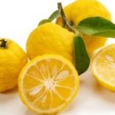 사파이어 전자 이미지