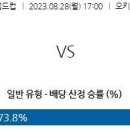 8월28일 남자농구 월드컵 자료정보 이미지