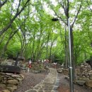 팔영산 자연휴양림 야영장 이미지