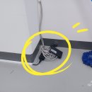 강서치과기공소 네이버블로그