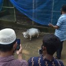 소보소농장 이미지