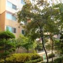 은평터널로 이미지