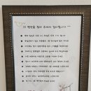 제이나인 | 강릉 숙소 추천 강릉 제이나인 스파펜션 앙상블