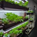 보드게임 및 전래놀이 이미지