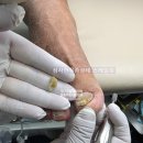 올리미의원 이미지