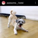 어썸호텔 이미지