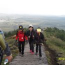 제주서초등학교 이미지