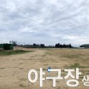 금악리야구장 야구장 이미지