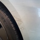 워시엔카 이미지